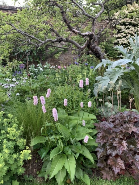 Walled Garden, Farquhar Street